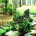 decorative stones